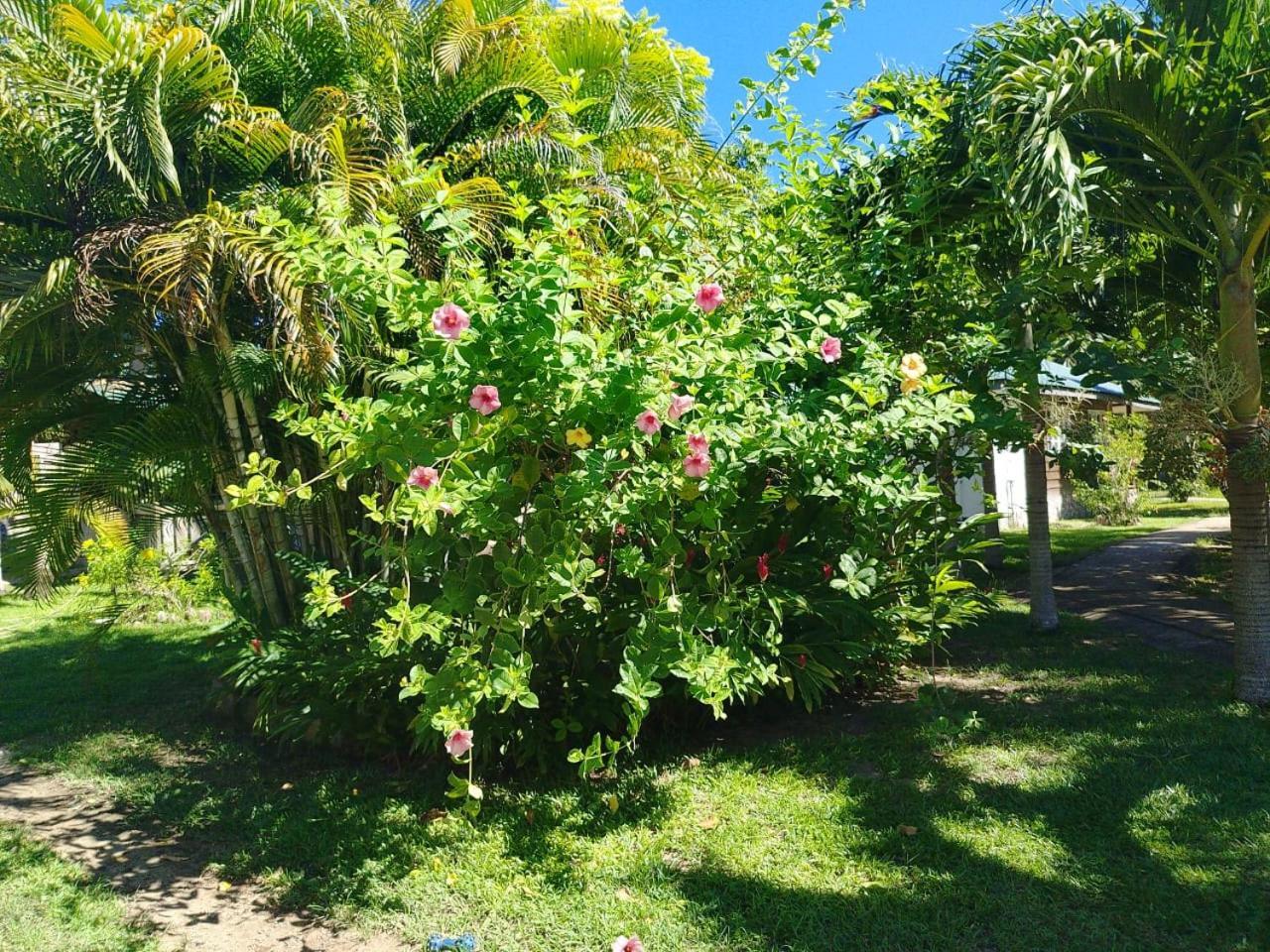 Chez Michellin Pensions Residence La Digue Dış mekan fotoğraf